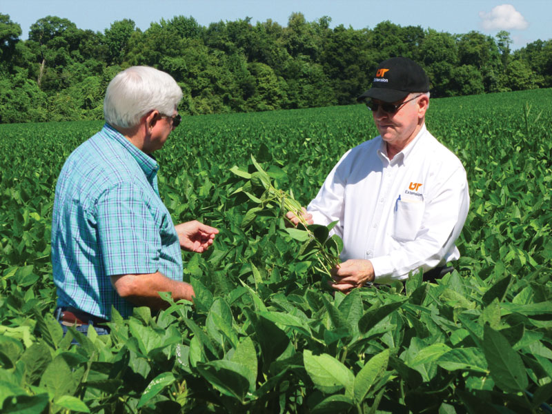 UT Extension agent Tim Campbell consults with a farmer