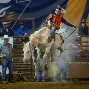 UTM Rodeo contestant riding a horse